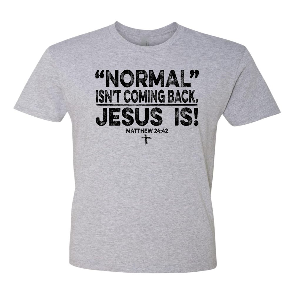 3X-Large Dark Heather Gray Mens Normal Isn't Coming Back Jesus is Christian Deluxe Soft T-Shirt