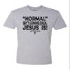 3X-Large Dark Heather Gray Mens Normal Isn't Coming Back Jesus is Christian Deluxe Soft T-Shirt view 1