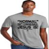 3X-Large Dark Heather Gray Mens Normal Isn't Coming Back Jesus is Christian Deluxe Soft T-Shirt view 2