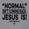 3X-Large Dark Heather Gray Mens Normal Isn't Coming Back Jesus is Christian Deluxe Soft T-Shirt view 3