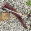 EGKH 30 Inch Panawal Sirupate Rust Free Kukri (Khukuri) - Traditional Kukri - Largest Khukuri - Sharpened view 4