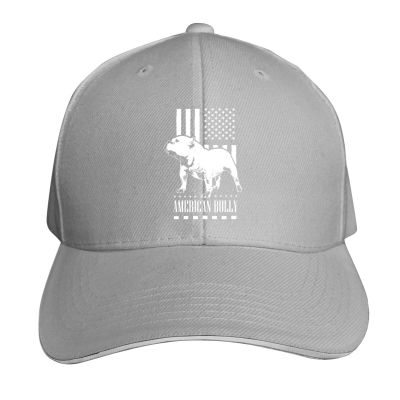 American Flag Bully Unisex Adjustable Baseball Casquette Hats Sandwich Cap Gray