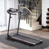 Folding Electric Treadmill for Home, 2.5HP Manual Incline Running Machine, 12 Pre-Set Programs, 5" LCD Display/300LBS Capacity MP3 Black view 1