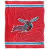 Delaware State University Hornets Blanket, 50"x60" Primary Logo, Silky Touch Super Soft Throw view 2