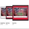 Georgia Bulldogs, 2021 College Football National Champions - 42x15.5-inch Single Mat, Select Framed Picture by Blakeway Panoramas view 2