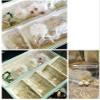 100pcs Clear PVC Transparent Zip Lock Jewelry Bag Small Size Dust Proof Airtight Jewelry Pouch Plastic Zipper Bag Self Seal PVC Packing Pouch Organizer Storage Bags for Rings Earrings Bracelet view 4