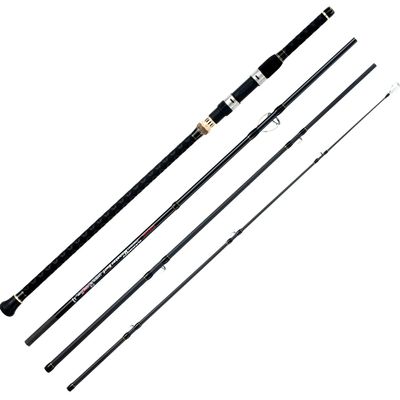 BERRYPRO Surf Spinning Fishing Rod Graphite Spinning Rod(9'/10'/12') (15'-Spinning - 4pc)