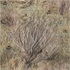 Mossy Oak Matte Camo Roll Hunting Patterns, Self-Adhesive Vinyl Wrap, DIY (24"x36", Brush) view 2