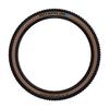 Schwalbe Wicked Will Tire, Black/Bronze, 62-584 view 2