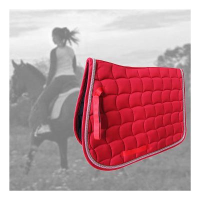 Bareback Pad for Horses,Basic All Saddle Pad Equestrian Bareback Riding Pad Horse Riding Pad