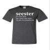 Go All Out Large Heather Black Adult Seester Like A Sister Only Cooler T-Shirt view 3