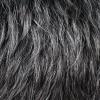 Chade New Born Free Synthetic CUTIE Full Wig - CT84 (3T34) view 3