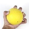 Feishibang roundnet Game Balls Replacement Including 6" Training Ball and 3.6" Competition Balls with Pump view 2