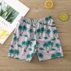 POLG Toddler Kid Baby Boys Swim Trunks Quick Dry Beach Shorts Shark Swim Shorts Toddler Boy Swimsuit Bathing Trunks (Gray, 2-3 Years) view 2