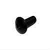 Oval Head Screw M5-0.8P x 12L 004364-00 Works with Matrix Fitness Stationary Bike view 2