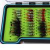 Fly Fishing Flies Assortment Kit Dry Wet Nyphms Tenkara Popper Streamer Woolly Bugger for Trout Bass Salmon Steelhead with Fly Box (60PCS BH-Nymphs Set) view 3