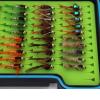 Fly Fishing Flies Assortment Kit Dry Wet Nyphms Tenkara Popper Streamer Woolly Bugger for Trout Bass Salmon Steelhead with Fly Box (60PCS BH-Nymphs Set) view 4