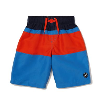 Speedo Boy's Swim Trunk Knee Length Blocked Volley Palace Blue