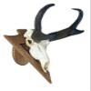 Arrowhead Shaped European Mount Deer Skull Plaque - NO Drilling Required (Dark Oak) view 3