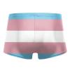 PARKNOTES Transgender Pride Flag Mens Trunks Swimwear Brief Swimsuit Shorts Boxer Pants view 2