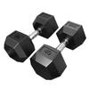 DMoose Hex Dumbbells for Strength Training Exercises, Biceps, Triceps, Chest, Shoulders, Back, Legs - Home Gym for Men and Women - Hexagonal Shape & Solid Cast-Iron Core Pair - 2.5 Lb to 50 Lb view 1