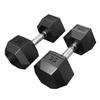 DMoose Hex Dumbbells for Strength Training Exercises, Biceps, Triceps, Chest, Shoulders, Back, Legs - Home Gym for Men and Women - Hexagonal Shape & Solid Cast-Iron Core Pair - 2.5 Lb to 50 Lb view 1
