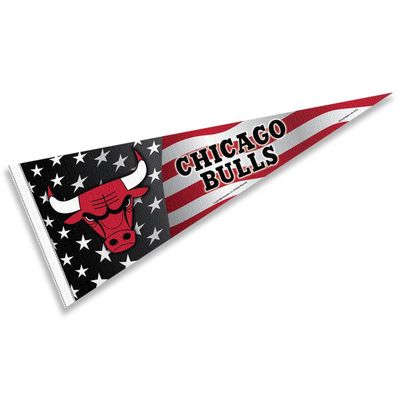 Chicago Bulls Nation American Stripes Pennant Flag
