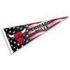 Chicago Bulls Nation American Stripes Pennant Flag view 1