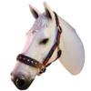BlazingPaws Darlington Luxury Leather Horse Show Halter in Premium Bridle Leather with Soft Suede Leather Padding and Fancy Western Design (Full Size, Tan/Brown) view 4