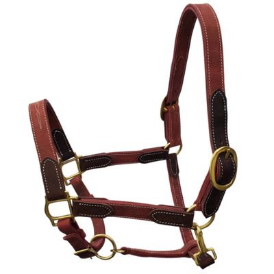BlazingPaws Vibrania Leather Horse Halter in Two Tone Double Layer Super Soft Premium Distressed Leather with Solid Brass Hardware (Oversize, Cherry)