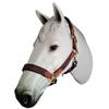 BlazingPaws Vibrania Padded Leather Horse Halter in Two Tone Super Soft Premium Distressed Leather with Solid Brass Hardware (Oversize, Brown) view 2