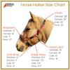 BlazingPaws Vibrania Padded Leather Horse Halter in Two Tone Super Soft Premium Distressed Leather with Solid Brass Hardware (Oversize, Brown) view 3