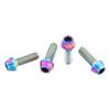 Wolf Tooth Titanium Oil Slick Water Bottle Cage Bolts - Standard Head/Oil Slick / 4 Pack view 1