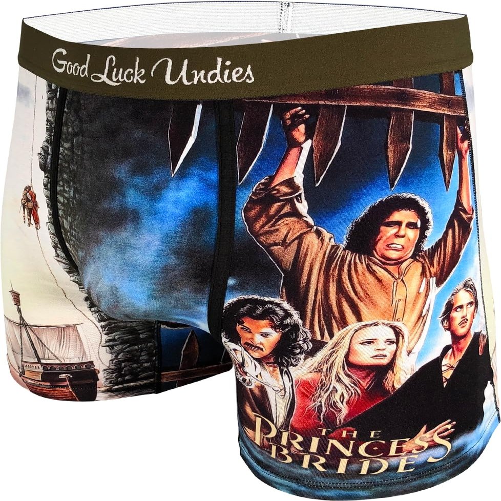 Good Luck Undies Men's The Princess Bride, Cliffs Of Insanity Boxer Brief Underwear, Small
