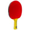 Counterstrike Alpha Dog Ping Pong Paddle Set | 6 Balls | Hard Protective Case | Professional Table Tennis Paddle | ITTF Approved | (Black Matte Fiber) view 3