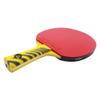 Counterstrike Alpha Dog Ping Pong Paddle Set | 6 Balls | Hard Protective Case | Professional Table Tennis Paddle | ITTF Approved | (Black Matte Fiber) view 4