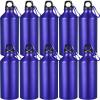 CHENGU 10 Pcs Aluminum Water Bottle 20 oz Reusable Bottles Lightweight Leak Proof Aluminum Sports Travel Bottles with Twist Cap Buckle for Gym, Hiking, Cycling, Camping, Fishing (Blue) view 1