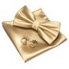 JEMYGINS Champagne Bow Tie Pre-tied Silk Bowtie and Pocket Square Cufflinks Sets for Men view 1