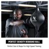 Hayabusa Double Ended Bag Boxing view 2