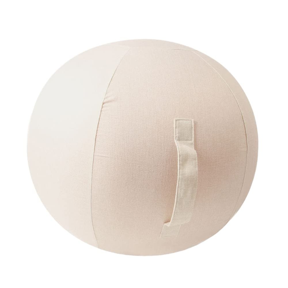 LUOZZY Yoga Balls Cover 65 CM Yoga Balls Protector (25.5 Inches)