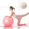 LUOZZY Yoga Balls Cover 65 CM Yoga Balls Protector (25.5 Inches) view 3