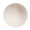 LUOZZY Yoga Balls Cover 65 CM Yoga Balls Protector (25.5 Inches) view 4