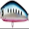 AMS Design (Ima) #YI70D-007 Yoichi Diet 70 Mako Sardine, 2.8 inches (70 mm), 0.3 oz (9 g)