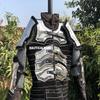 Medieval Knight Collectible Roman Armor Halloween Costume (Complete Set) view 1