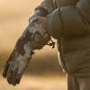 King's XKG Insulated Gloves, KC Ultra Snow, Medium view 3