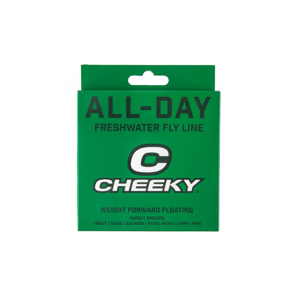 Cheeky Fishing All-Day Freshwater Weight Forward Floating Fly Line, Mint/Stone, 6 WT