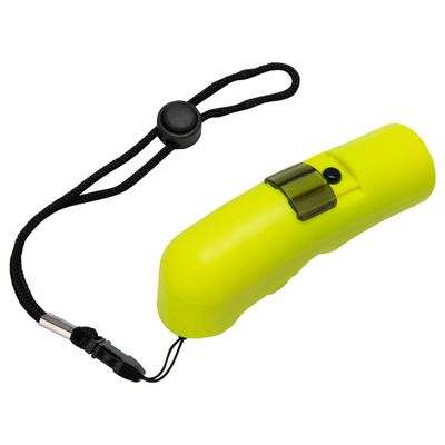 Champro Electronic Referee Whistle for Basketball, Volleyball, Gym, Physical Education and More