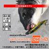 Daiwa Morethan Switch Hitter DH 76S view 2