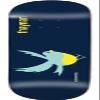 Enjoi Skateboards Thaynan Costa Early Bird Skateboard Deck Resin-7-8" x 31.6" view 1