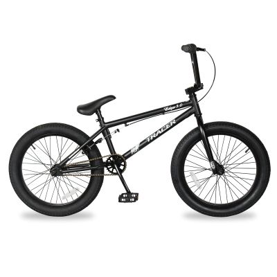 Tracer Edge Kids Freestyle BMX Bike, Entry and Intermediate Rider, Boys and Girls Bikes, 20-Inch Wheels, Hi-Ten Steel Frame, U Brake 2/3-Piece Crank Options (3.0, Matte Black)